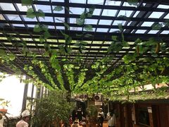 -阿鹏故事云南野生菌火锅(人民路店)