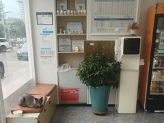 -芭比堂动物医院·CT·微创中心(新顺分院)