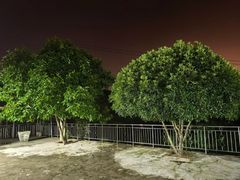 -金水泊山庄·花椒鸡(铁山坪店)