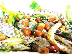 -陈添記·祖傳爽鱼皮·西关老字号(广州首店)