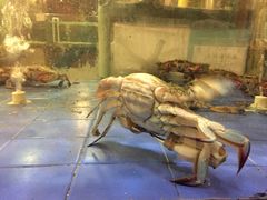 -友鹏海鲜(新宜白大道店)