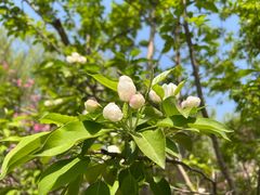 -元大都城垣遗址公园