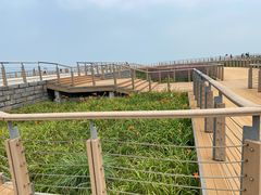 -东疆建设开发纪念公园