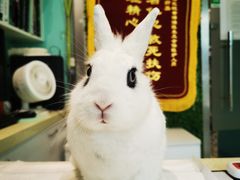 -雨林宠物医院 非犬猫异宠专科