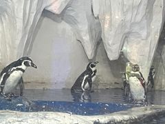 -太平洋海底世界