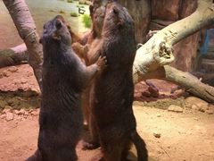 -正佳雨林生态植物园
