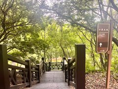 -白马涧龙池景区