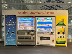 -中部国际机场