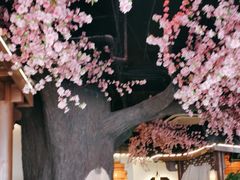 -荷塘秋月·本帮江浙菜(国权路店)