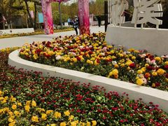 -元大都城垣遗址公园