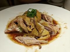 -北国饭店.海鲜.北方菜(新河路店)