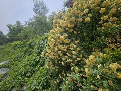 -郑州方特梦幻王国