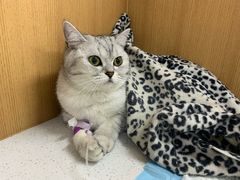 -联合动物医院(光谷诊疗中心)
