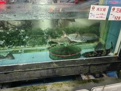 -明珠海港大酒店