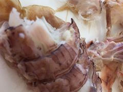-港畔赶海蒸汽海鲜烧烤自助(仙螺岛店)