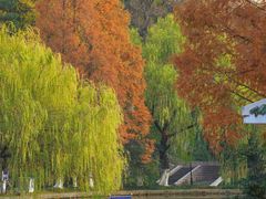 -环城公园-琥珀潭