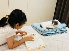 -momokira米努特·德文卷毛猫·棉花面纱犬