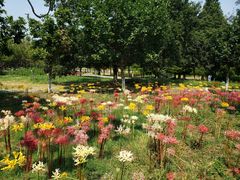 -白塘生态植物园