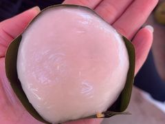 -东郊椰林