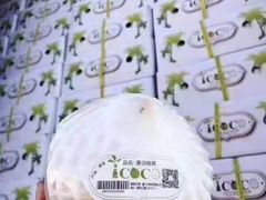 -椰子日记(世欧广场店)