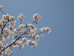 -虎丘湿地公园