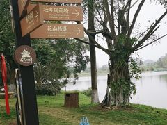 -南宁花花大世界景区