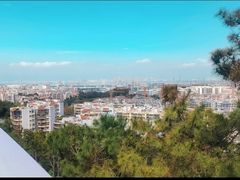 -仙岳公园