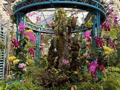 -石家庄市植物园