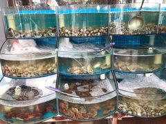 黄蚬子-同道蒸汽海鲜烧烤自助(刘庄夜市店)
