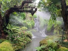 -Chom Cafe and Restaurant