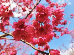 -福清灵石山国家森林公园