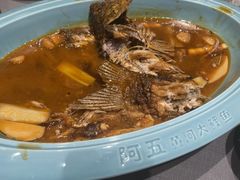 煎烧黄河鲤鱼-阿五黄河大鲤鱼(纬三路店)