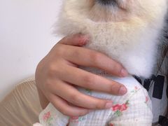 -怪兽屋·羊驼·猫咖·狗咖(俊华广场店)