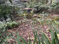 -青城道汤池