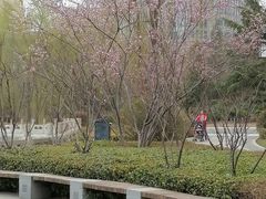 -迎泽公园