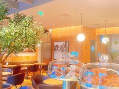 -Wagas沃歌斯(信泰中心商场店)