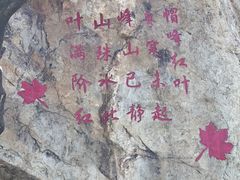 -广州市帽峰山景区
