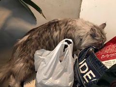 -小时光咖啡馆(北锣鼓巷店)