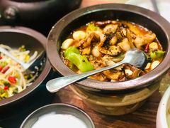 黑松露牛肝菌焖牛蛙-云海肴·汽锅鸡·云南菜(美罗城店)