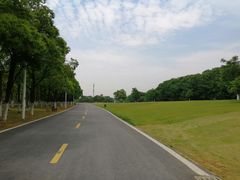 -艾溪湖湿地公园