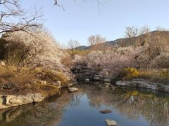 -北京植物园南门售票处