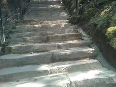 -南山植物园