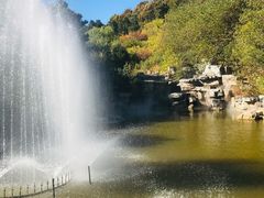 -北京西山国家森林公园