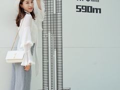 -WFC会仙楼观景台