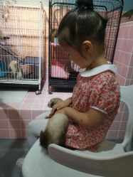 -Moni星球萌宠·小马宝莉·灵蛇·高端高阶全萌宠互动体验俱乐部(红豆国际广场店)