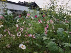 -禾悦庄餐厅