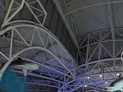 -烟台海昌鲸鲨海洋公园