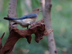 -苏州河梦清园环保主题公园