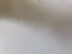 -伊兴面片·清真(五泉山店)