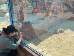 -大连森林动物园